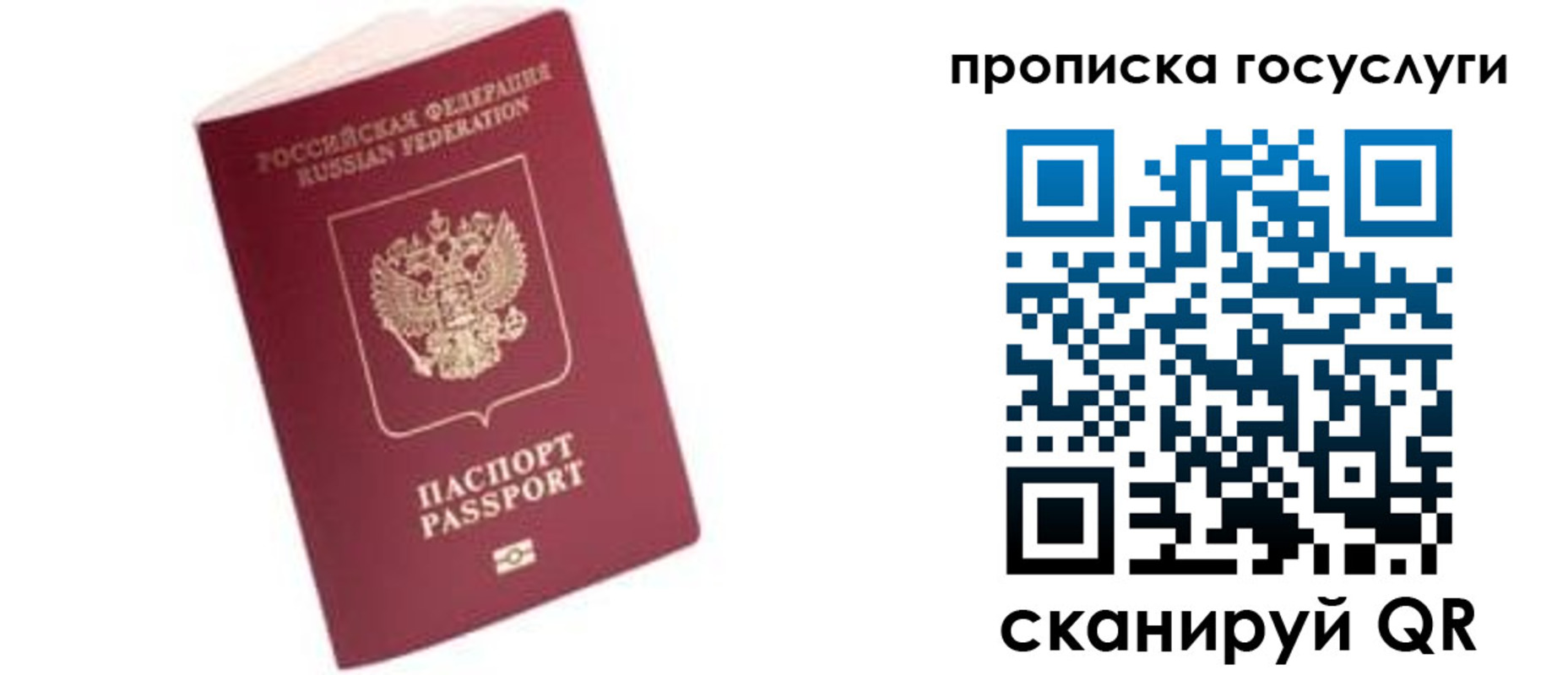 прописка в Чайковском